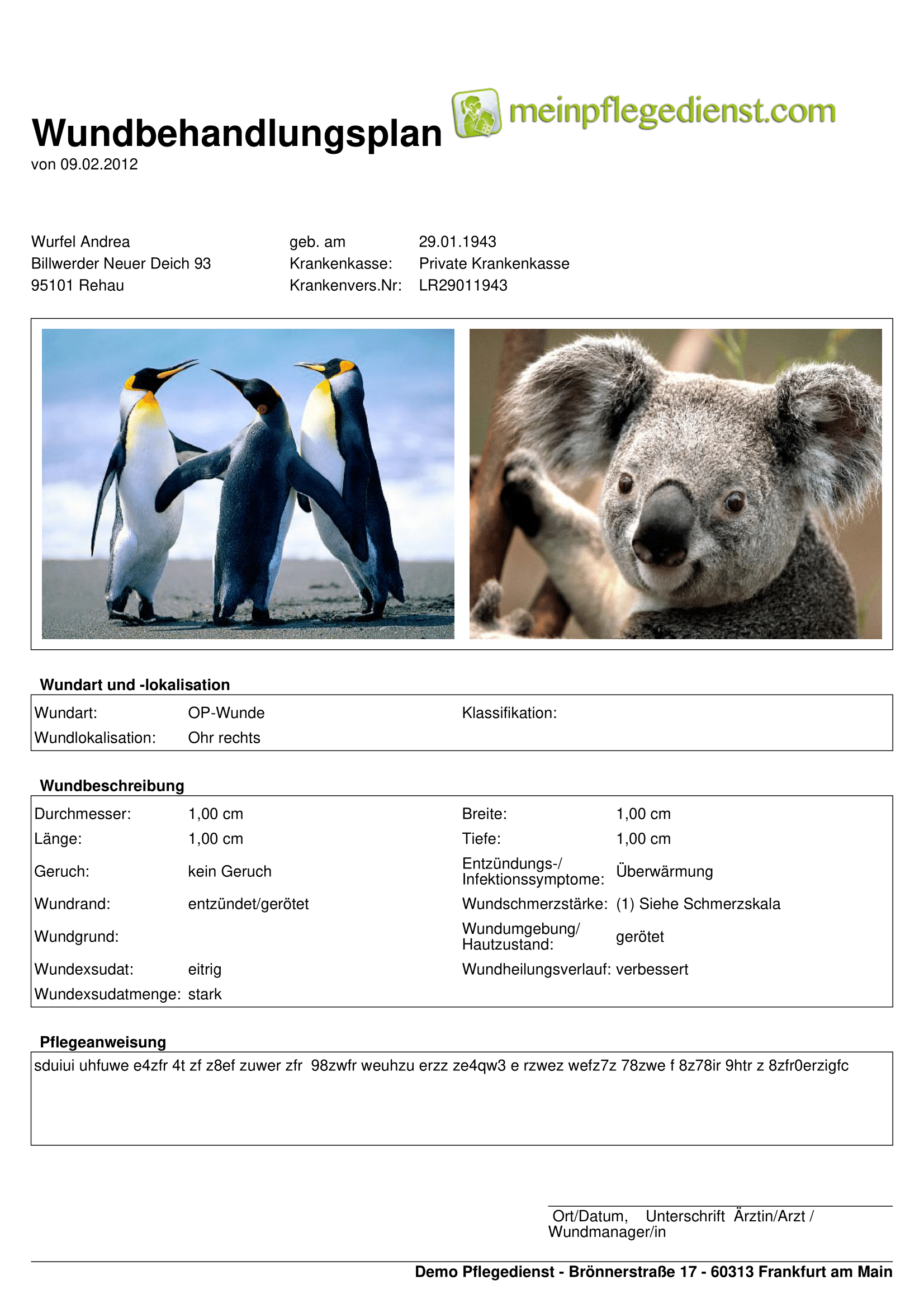 Wundbehandlungsplan